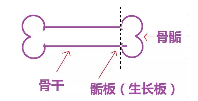 儿童骨密度检测仪里的秘密-儿童骨密度检测仪品牌哪个好? 儿童骨密度检测仪里的秘密-儿童骨密度检测仪品牌哪个好?(图1)
